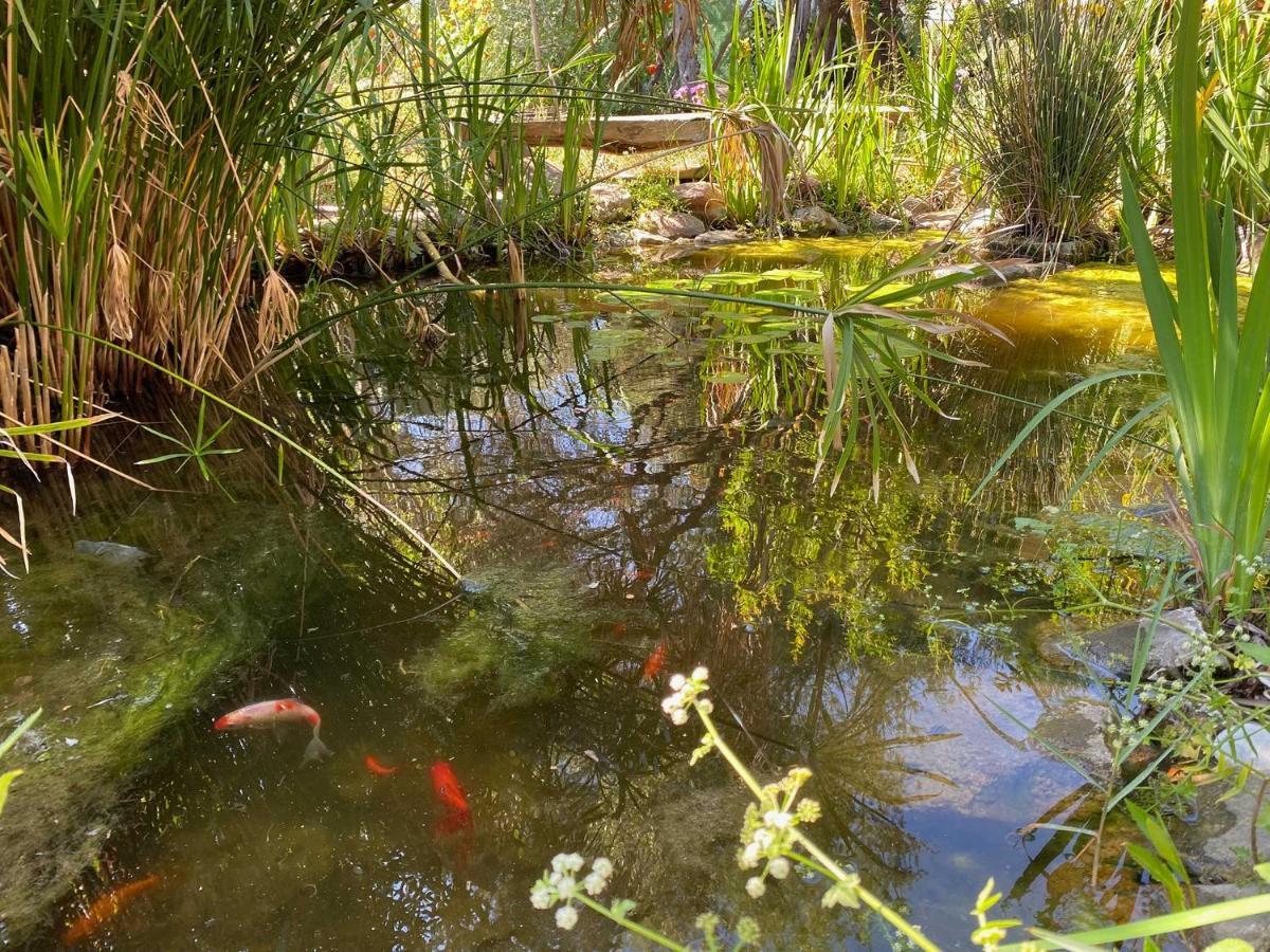 El Canto De Las Ranas Villa Barbate Dış mekan fotoğraf